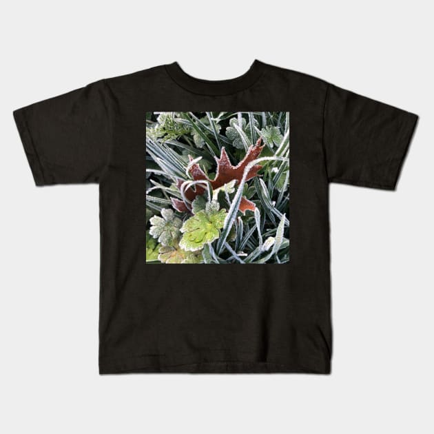 Frosty Freeze Kids T-Shirt by Photomersion